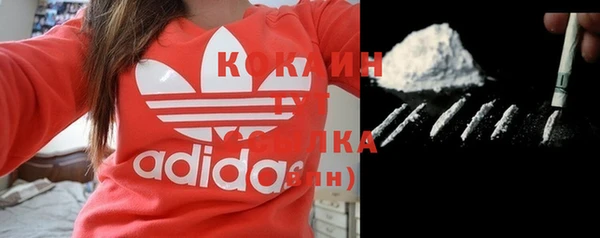 гашик Ростов