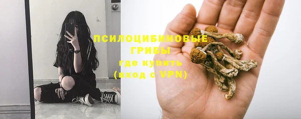амф Павловск