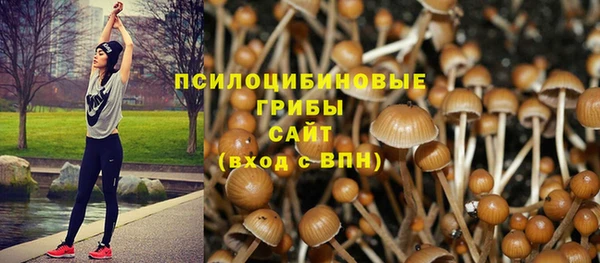 PSILOCYBIN Очёр