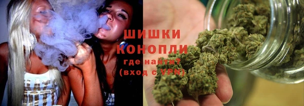 амф Павловск