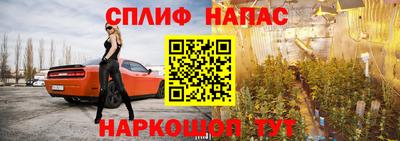индика Кимры