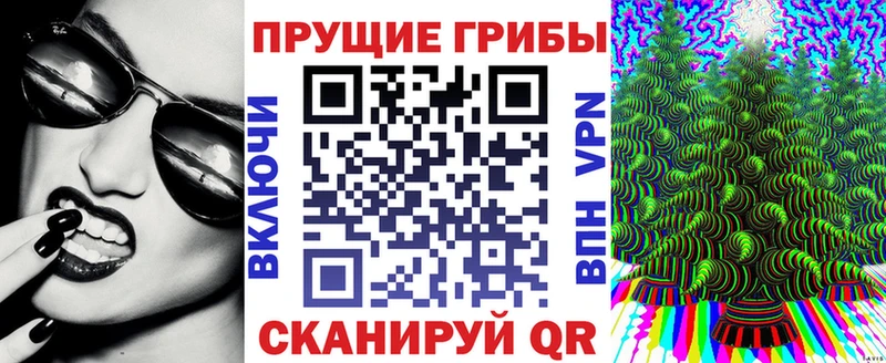 закладка  это как зайти  Псилоцибиновые грибы ЛСД  Пенза 