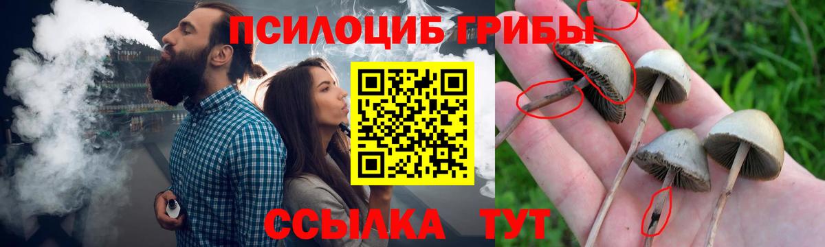 Псилоцибиновые грибы мухоморы  Пенза  наркошоп  Псилоцибиновые грибы мухоморы 