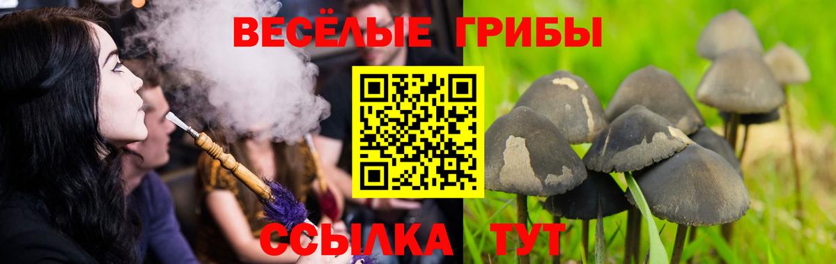Псилоцибиновые грибы Magic Shrooms Пенза
