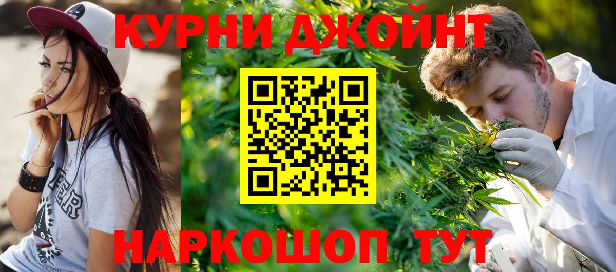Каннабис планчик  Бошки Шишки THC 21%  Пенза  Бошки марихуана план  Каннабис White Widow  Вход с VPN 